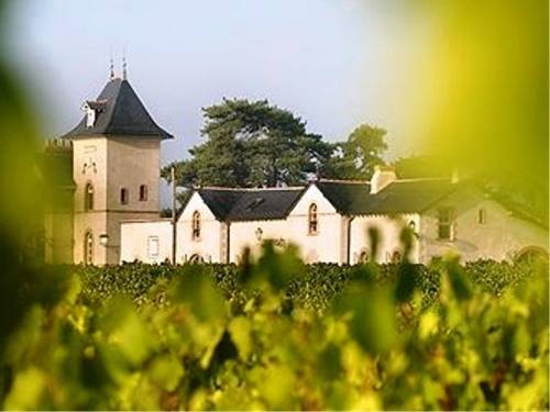 Château Soucherie : Bed and Breakfast near Saint-Aubin-de-Luigné