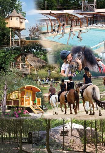 Domaine de Dienné : Resort near Romagne