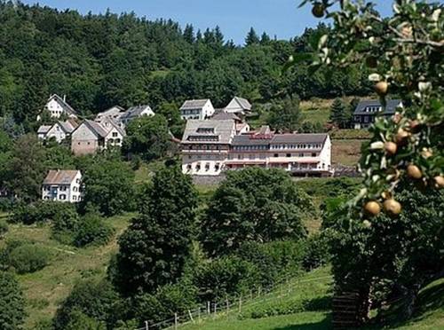 Hôtel Roess : Hotel near Wihr-au-Val