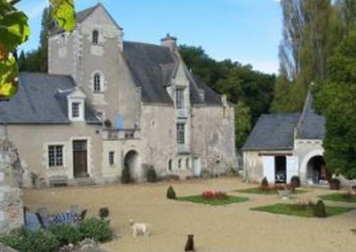 Château de Cheman : Guest accommodation near Luigné