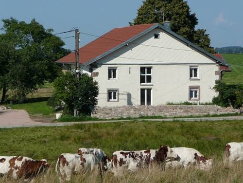 Les Gites de L'Etang : Guest accommodation near Vervezelle