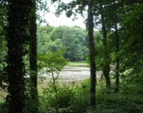 La Haye Chambre d'Hôtes : Bed and Breakfast near Brain-sur-Longuenée