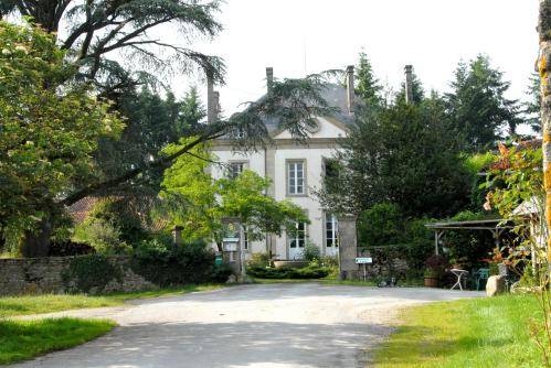 Château De Vauguenige : Hotel near Mouhet