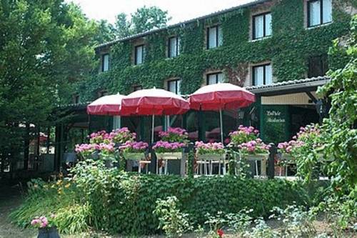 Logis Hotel Le Relais De Comodoliac : Hotel near Javerdat