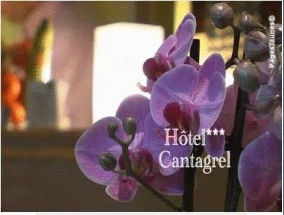 Logis Le Cantagrel : Hotel near Ivry-sur-Seine