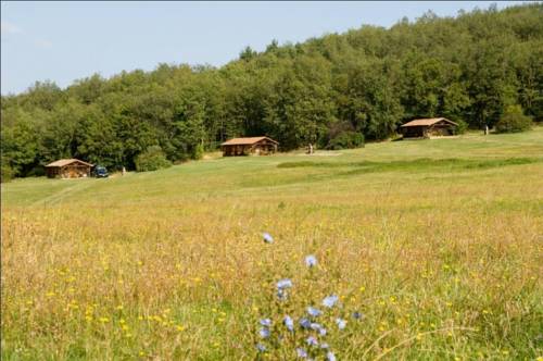Camping De La Besse : Guest accommodation near Albiès