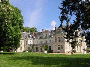 Château Des Briottieres : Hotel near Saint-Michel-de-Feins