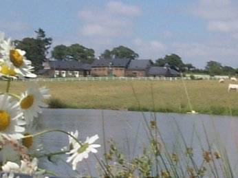 Logis Des Aulnays : Guest accommodation near La Chapelle-Hullin