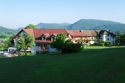 Hôtel les Bergeronnettes : Hotel near Groslée