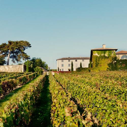 Domaine La Javernière - au coeur des vignes : Bed and Breakfast near Châtillon-sur-Chalaronne