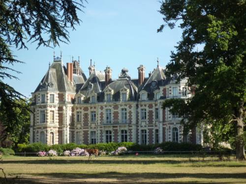 Château de la Jumellière : Bed and Breakfast near Saint-Aubin-de-Luigné