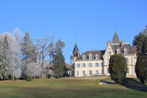 Château de Saint-Antoine : Bed and Breakfast near Mouhet