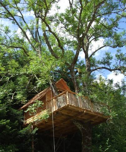 Cabanes dans les Arbres 