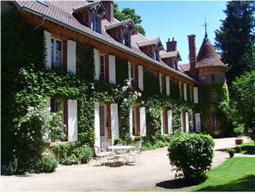 Château de Brinay : Bed and Breakfast near Sainte-Fauste