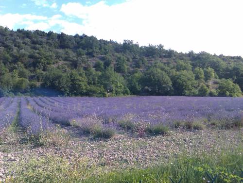 Le Clos : Guest accommodation near Aurel