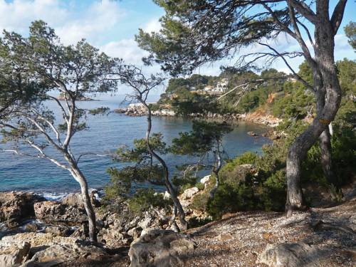 Apartment La Calanque d'Or : Apartment near Bandol