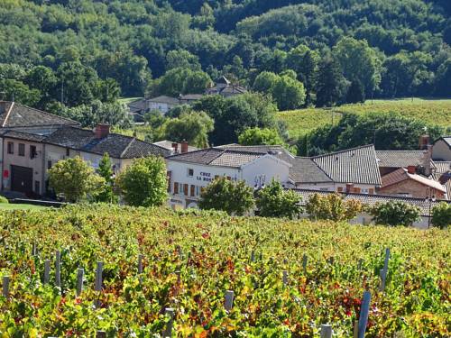 La Rose : Hotel near Saint-Didier-sur-Chalaronne