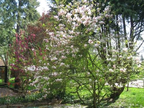 Le Domaine de Pasiphae : Bed and Breakfast near Lignères