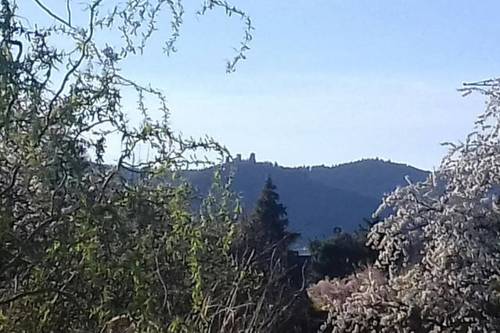 La Maison D'ayona : Bed and Breakfast near Weckolsheim