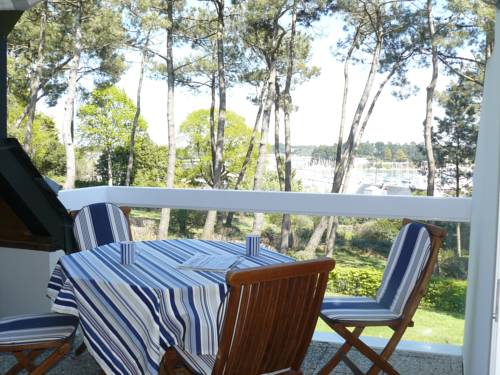 Terrasses du Port 3 - La Trinité sur Mer : Apartment near Saint-Philibert