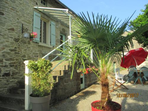 Pura Vida : Guest accommodation near Ménoire