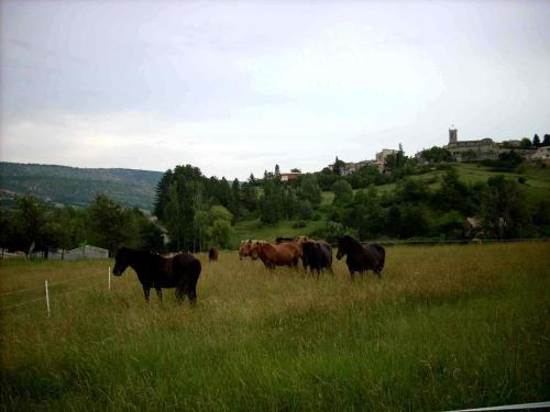 Gite Provence Luberon Paca : Guest accommodation near Aubenas-les-Alpes