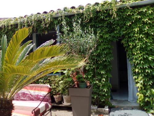 rive douce : Bed and Breakfast near Rivedoux-Plage