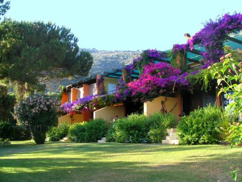 Residence Helios : Guest accommodation near Cargèse