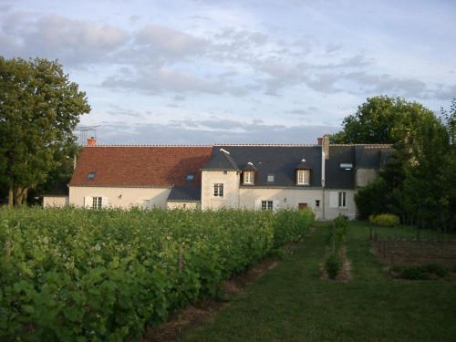 Au Clos de l'Epinay : Bed and Breakfast near Vouvray
