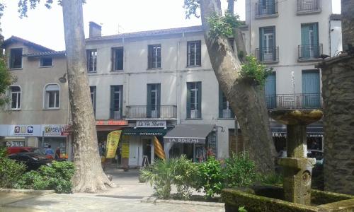 cal erre : Apartment near Saint-Laurent-de-Cerdans