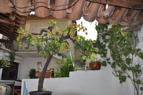 La vigne : Guest accommodation near Gigondas