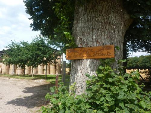 Gîte de la belle attente : Guest accommodation near Avesnes-Chaussoy