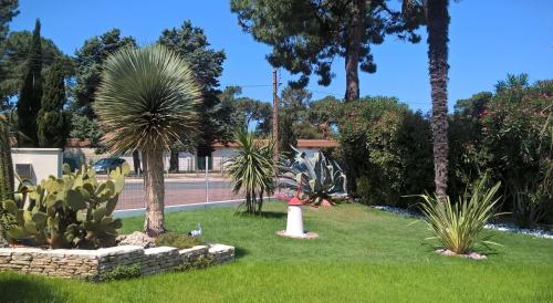 Mobil-home St Georges : Guest accommodation near Meschers-sur-Gironde