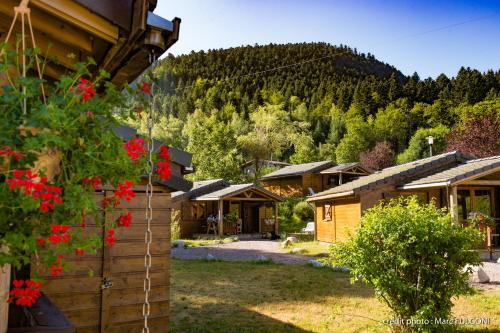 camping du haut des bluches : Guest accommodation near Wildenstein