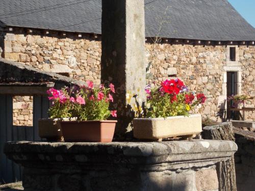 Le Cintrium : Bed and Breakfast near Vabres-l'Abbaye