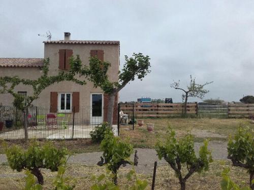 Mas Tarquin : Guest accommodation near Aigues-Mortes
