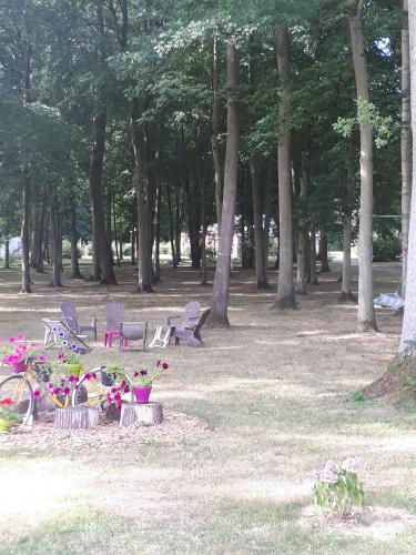 Camping Le Bois Fleuri : Guest accommodation near Dampierre-sous-Brou