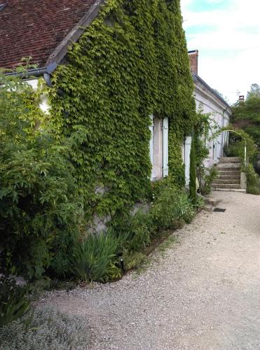 Ode au Bonheur St Georges sur Cher : Bed and Breakfast near Chenonceaux