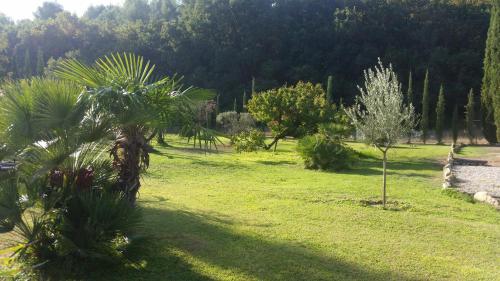 Provence : Bed and Breakfast near Mazan