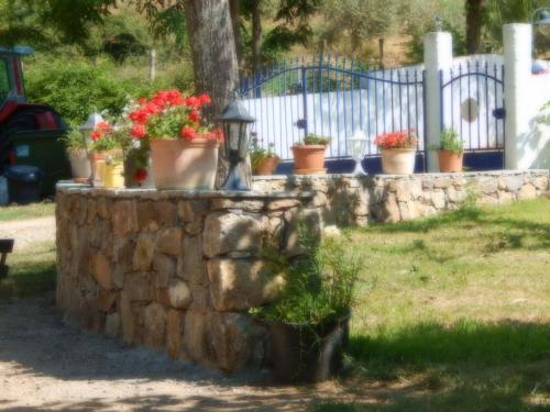 Ernella : Guest accommodation near Altiani