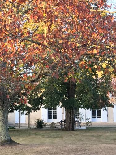 Chambres d'hotes du bocage : Guest accommodation near Mouillac