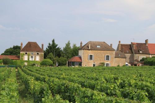 Maison dans vignoble Céline et Frédéric Gueguen : Bed and Breakfast near Bessy-sur-Cure