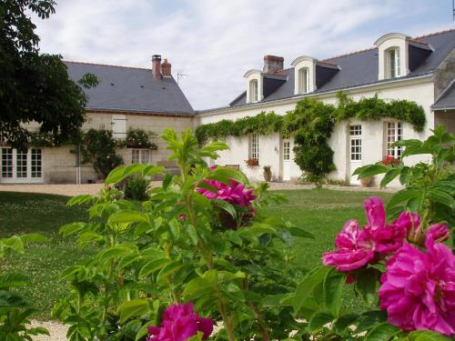 La Jarillais : Guest accommodation near Les Rosiers-sur-Loire