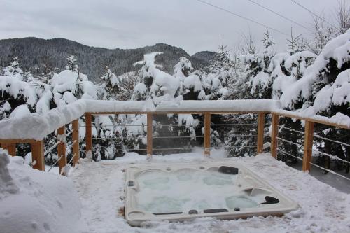 CHALET L'EDELWEISS : Guest accommodation near Mieussy