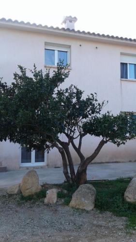 Casapiana : Apartment near San-Gavino-di-Carbini