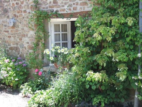 La Petite Quinoise : Guest accommodation near Langrolay-sur-Rance