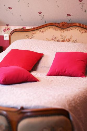 Les Renaudines : Bed and Breakfast near Neuville-sur-Brenne