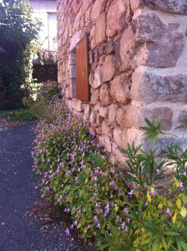 Maison à 6km de Cordes-sur-Ciel : Guest accommodation near Espinas