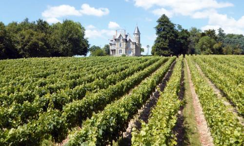 Chateau Breduriere : Bed and Breakfast near Les Pineaux
