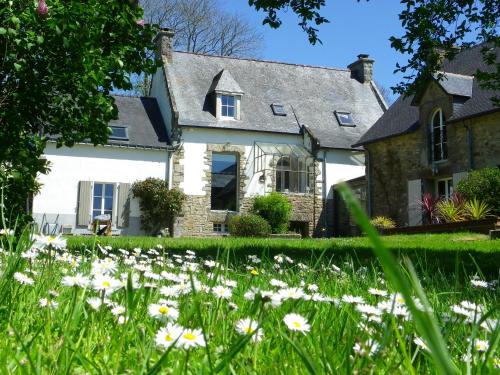 Les Dames de Nage : Bed and Breakfast near Locmaria-Grand-Champ